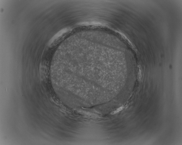 X0000081360967200702020136