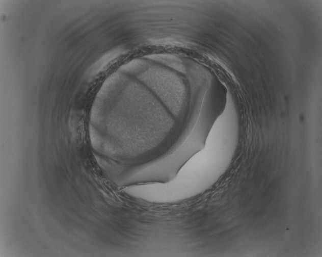 X0000081360968200702020136