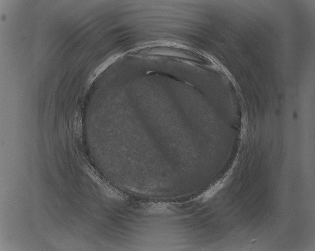 X0000081360969200702020136