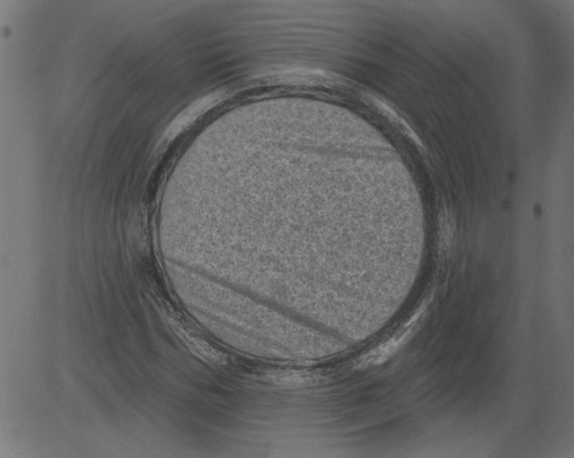 X0000081360970200702020136