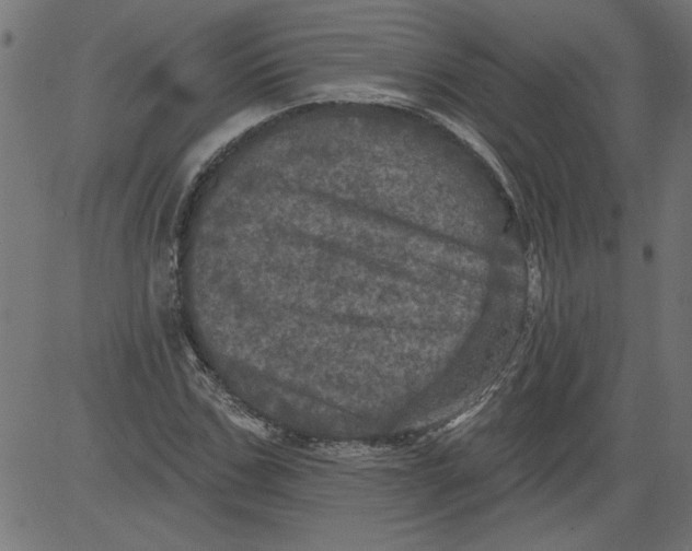 X0000081360971200702020136