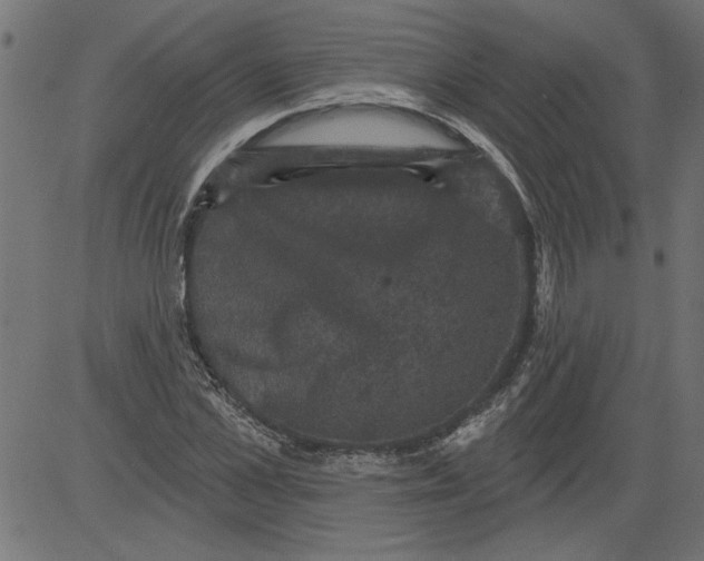 X0000081360973200702020136