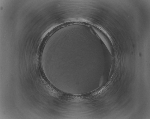 X0000081360975200702020136