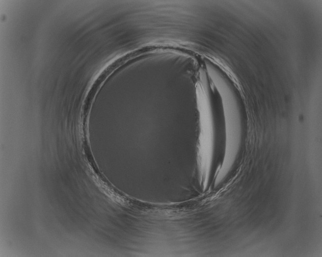 X0000081360976200702020136