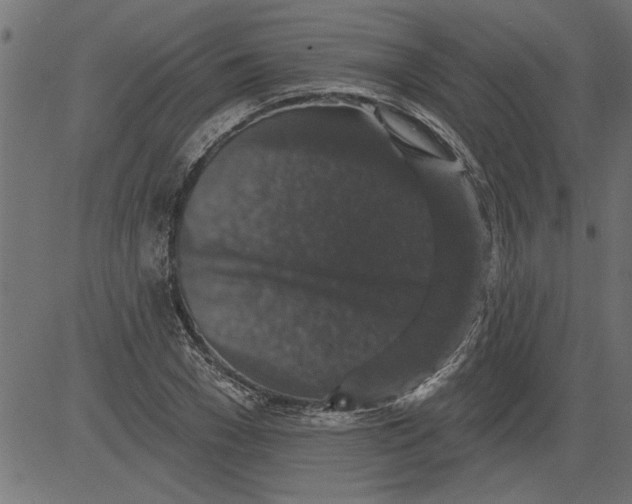 X0000081360977200702020136