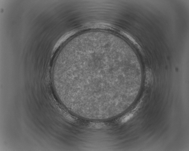 X0000081360978200702020136