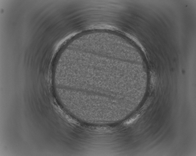 X0000081360979200702020136