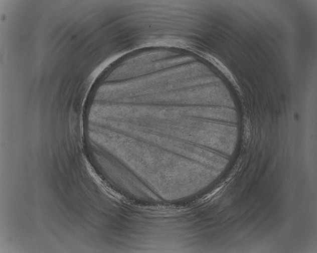 X0000081360980200702020136