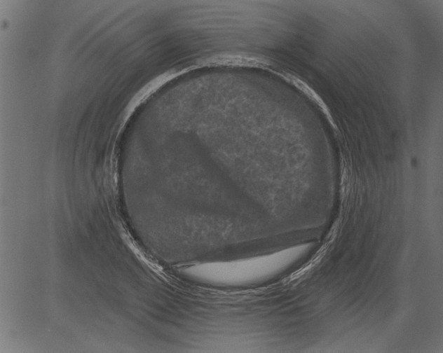 X0000081360981200702020136