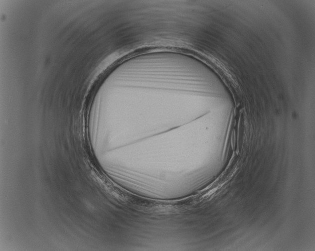 X0000081360982200702020136