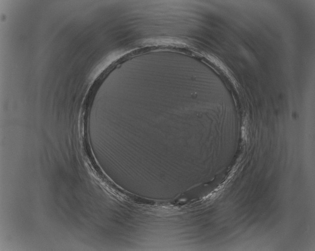 X0000081360983200702020136