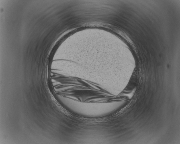 X0000081360984200702020136