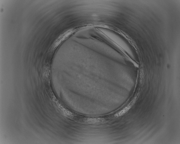 X0000081360985200702020136