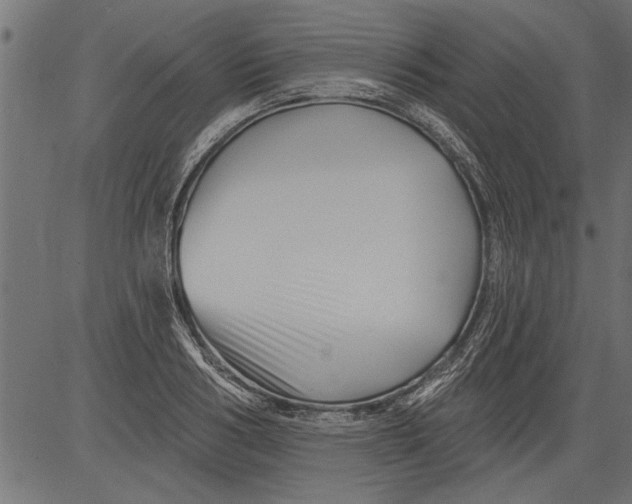 X0000081360986200702020136