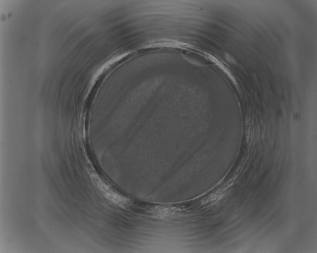 X0000081360987200702020136