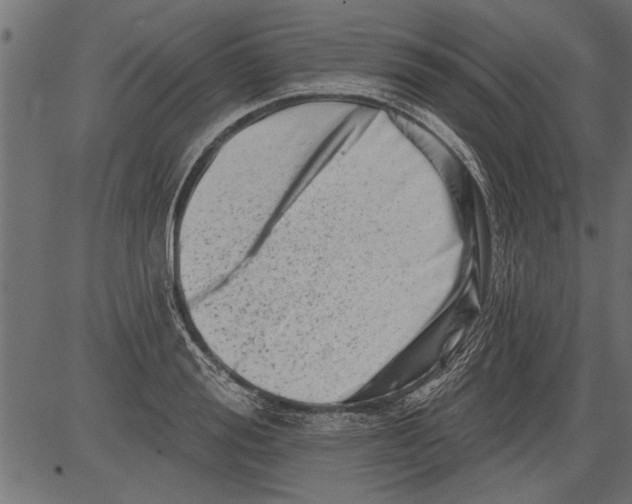 X0000081360988200702020135