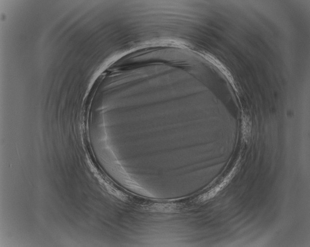 X0000081360989200702020135