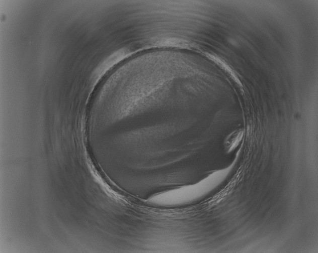 X0000081360991200702020135