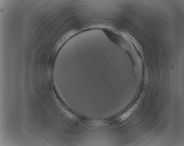 X0000081360993200702020135