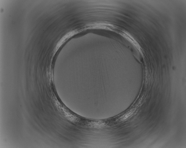 X0000081360994200702020135