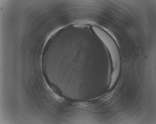 X0000081360995200702020135