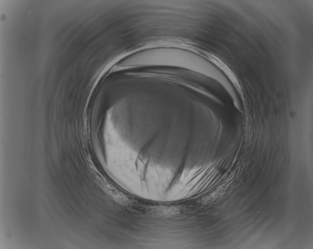 X0000081360996200702020135