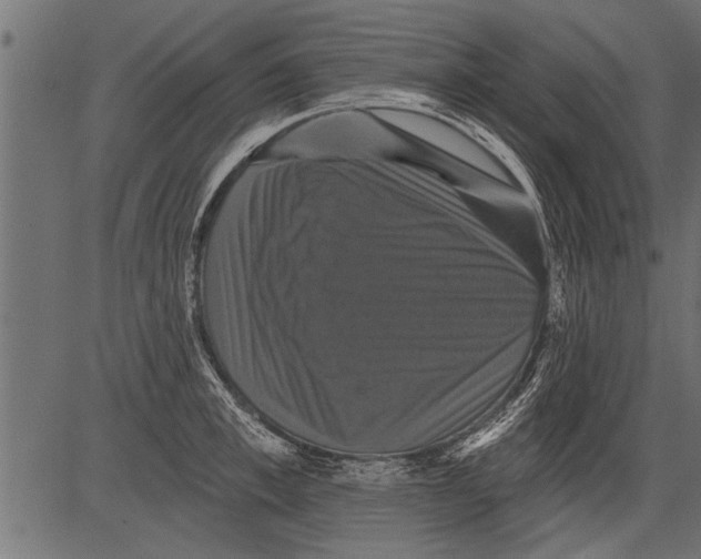 X0000081360997200702020135