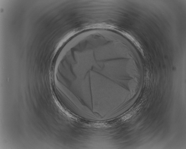 X0000081360998200702020135