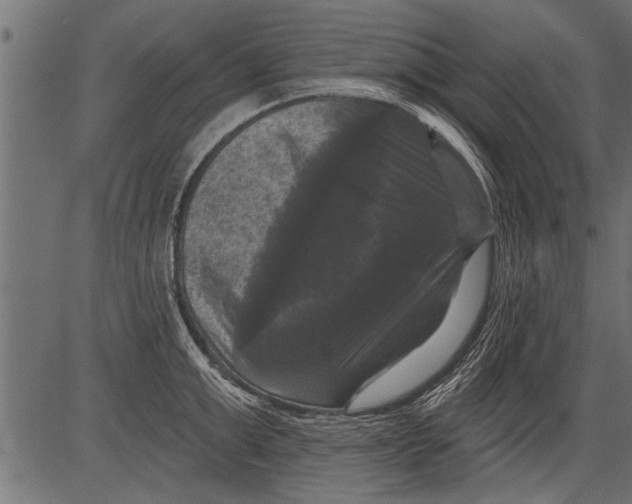 X0000081360999200702020135