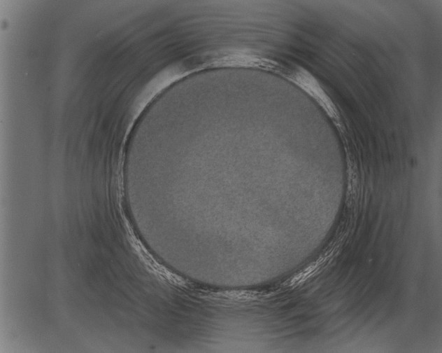 X0000081361000200702020135