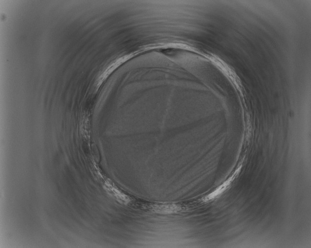 X0000081361001200702020135