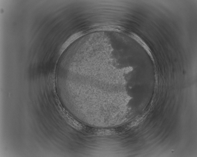 X0000081361002200702020135