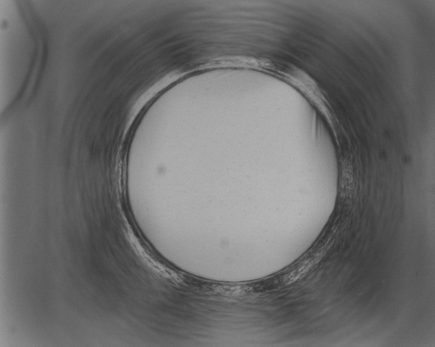 X0000081361003200702020135