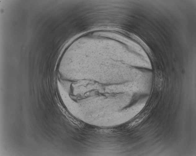 X0000081361004200702020135