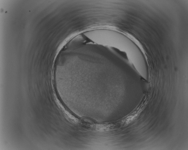 X0000081361005200702020135