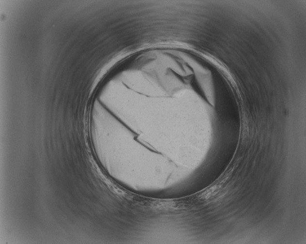 X0000081361006200702020135