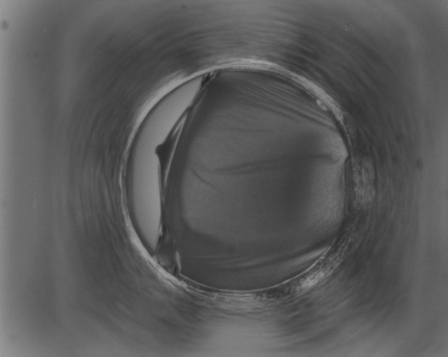 X0000081361007200702020135