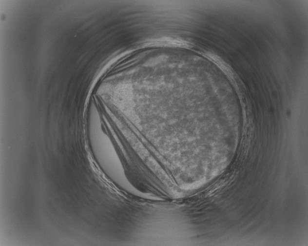 X0000081361008200702020135