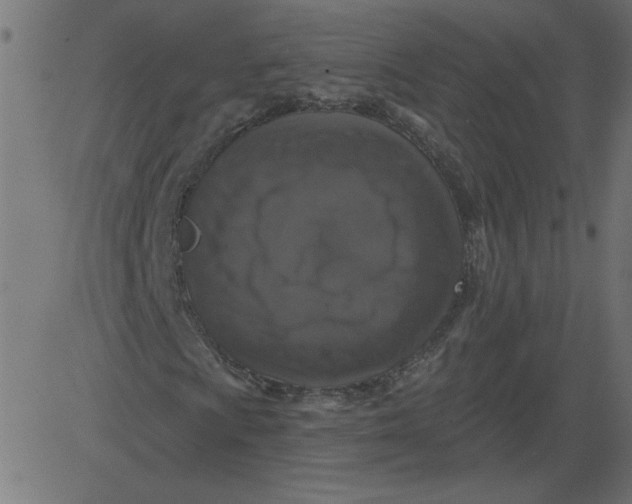 X0000081361009200702020134