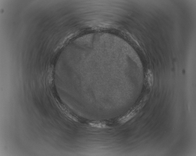 X0000081361012200702020134