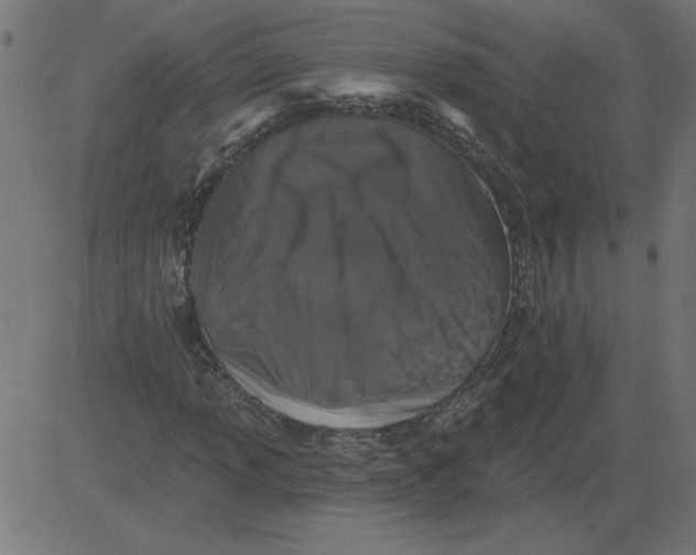 X0000081361013200702020134