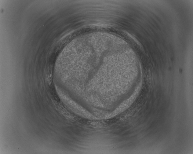 X0000081361015200702020134