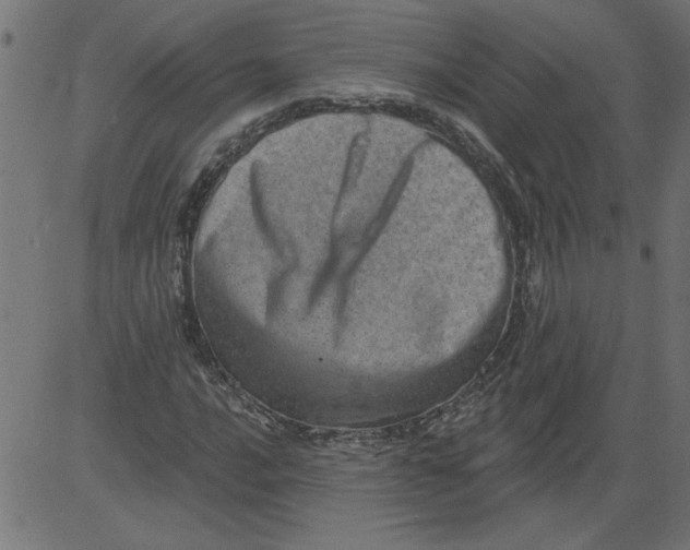 X0000081361016200702020134