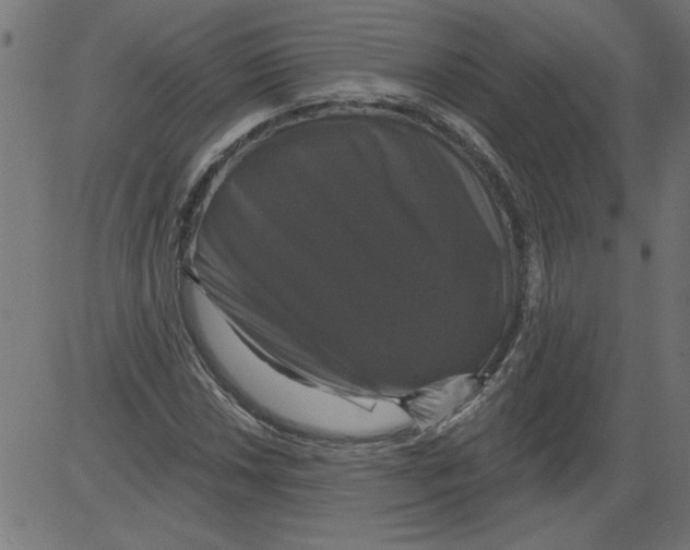 X0000081361018200702020135