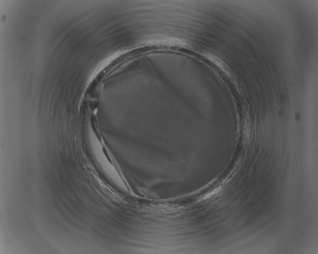 X0000081361022200702020135