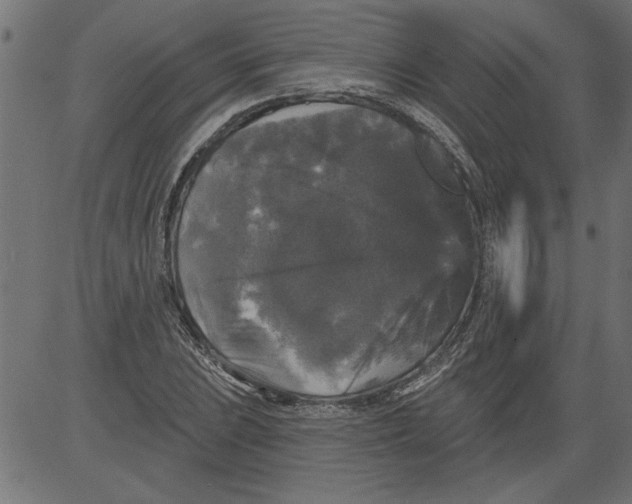 X0000081361023200702020135