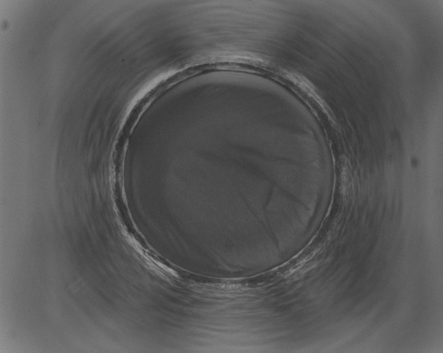 X0000081361024200702020135