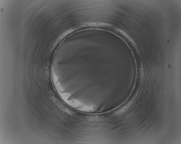 X0000081361025200702020135