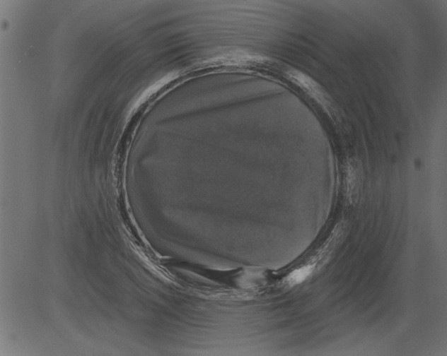 X0000081361026200702020135