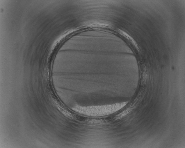 X0000081361027200702020135